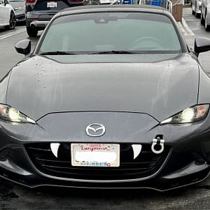 Universal car bumper fangs / vampire teeth
